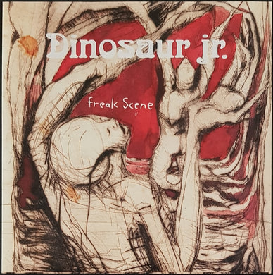 Dinosaur Jr - Freak Scene
