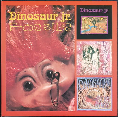 Dinosaur Jr - Fossils - Red Vinyl