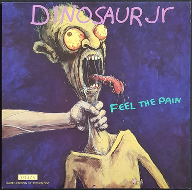 Dinosaur Jr - Feel The Pain