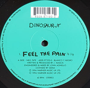 Dinosaur Jr - Feel The Pain