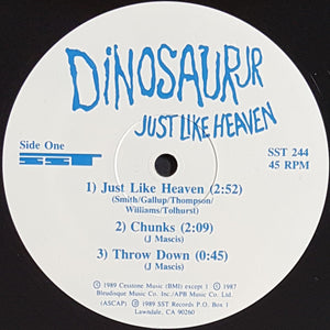 Dinosaur Jr - Just Like Heaven