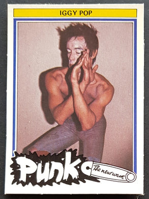 Iggy Pop - Punk The New Wave