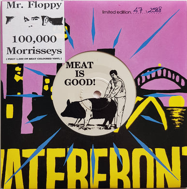 Mr.Floppy - 100,000 Morrisseys