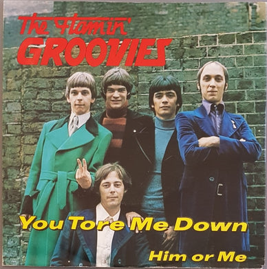 Flamin' Groovies - You Tore Me Down