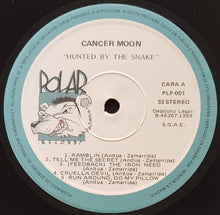 Load image into Gallery viewer, Cancer Moon - Hunted By The Snake