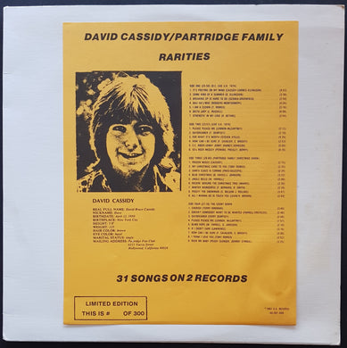 Cassidy, David - David Cassidy / Partridge Family Rarities