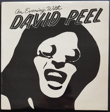 David Peel & The Lower East Side - An Evening With