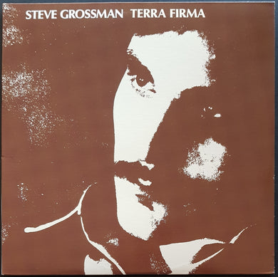 Grossman, Steve - Terra Firma
