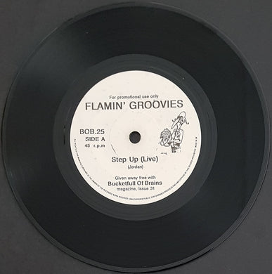 Flamin' Groovies - Step Up (Live)