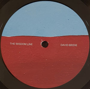 David Bridie - Not Drowning Waving - The Wisdom Line