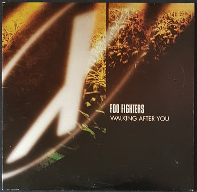 Foo Fighters - Walking After You
