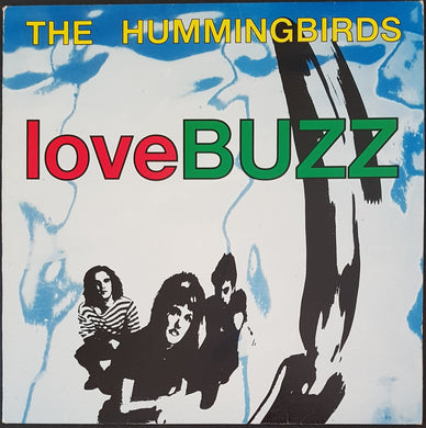 Hummingbirds - loveBUZZ
