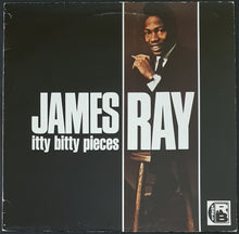 Load image into Gallery viewer, James Ray - Itty Bitty Pieces