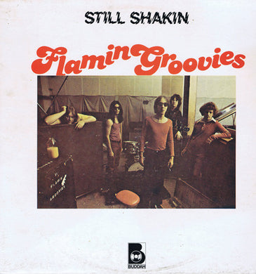 Flamin' Groovies - Still Shakin