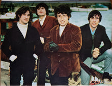 Load image into Gallery viewer, Hollies - Fabulous July 10th 1965