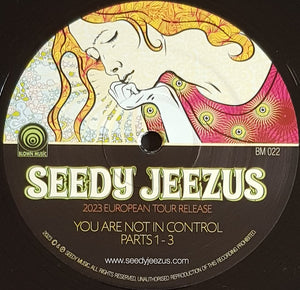 Seedy Jeezus - Guitar Overdrive