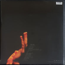 Load image into Gallery viewer, Pearl Jam - Live On Two Legs - Clear Vinyl