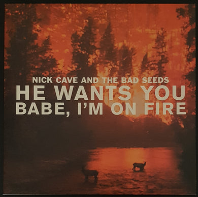Nick Cave & The Bad Seeds - He Wants You