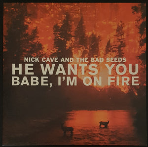 Nick Cave & The Bad Seeds - He Wants You