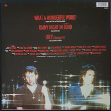 Load image into Gallery viewer, Nick Cave - What A Wonderful World