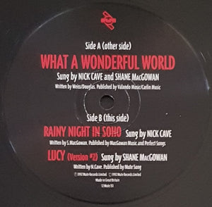 Nick Cave - What A Wonderful World
