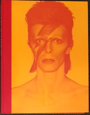 David Bowie - David Bowie Is Inside