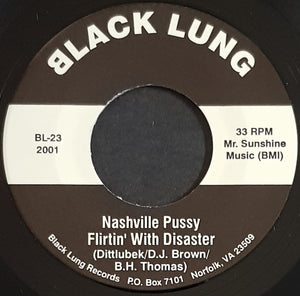 Nashville Pussy - Flirtin" With Disaster