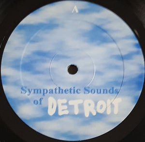 V/A - Sympathetic Sounds Of Detroit