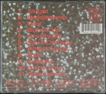 Load image into Gallery viewer, Supersuckers - The Songs All Sound The Same