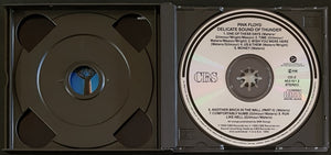 Pink Floyd - Delicate Sound Of Thunder - Fat Box