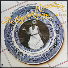 Load image into Gallery viewer, Ozark Mountain Daredevils - It&#39;ll Shine When It Shines