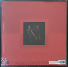 Load image into Gallery viewer, Genesis Owusu - Struggler - Indies Clear Vinyl