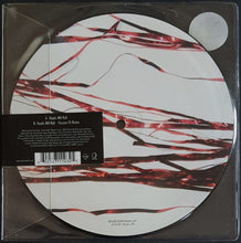 Load image into Gallery viewer, Yeah Yeah Yeahs - Heads Will Roll