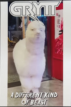 Load image into Gallery viewer, Grytt - Different Kind of Beast - Green Vinyl