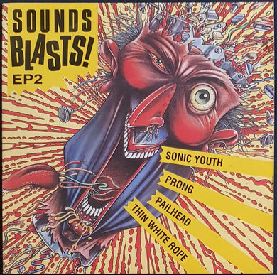 Sonic Youth - Sounds Blasts! EP2