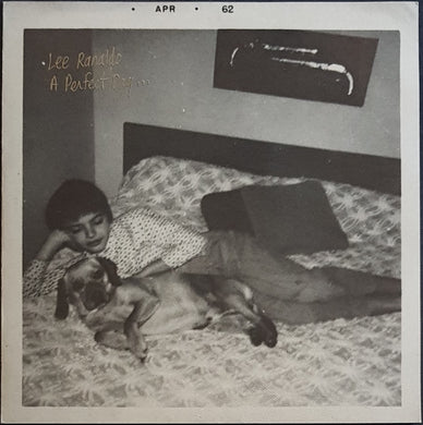 Sonic Youth (Lee Ranaldo)- A Perfect Day...
