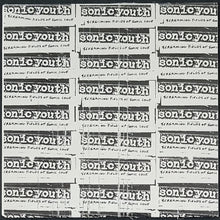 Load image into Gallery viewer, Sonic Youth - Screaming Fields Of Sonic Love