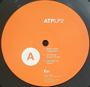 Sonic Youth - Sonic Youth Presents All Tomorrow's Parties 1.1