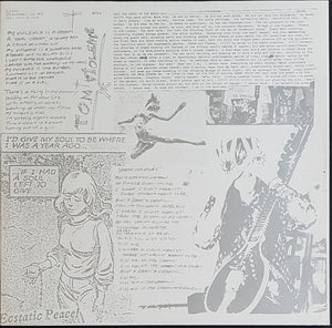 Sonic Youth - Evol