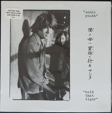 Sonic Youth - Hold That Tiger