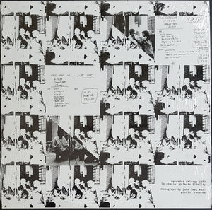 Sonic Youth - Hold That Tiger