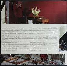 Load image into Gallery viewer, Sonic Youth - The Destroyed Room B-Sides And Rarities