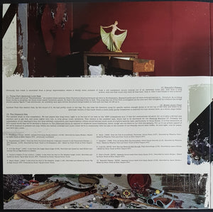 Sonic Youth - The Destroyed Room B-Sides And Rarities