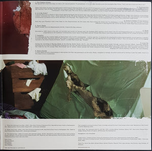 Sonic Youth - The Destroyed Room B-Sides And Rarities