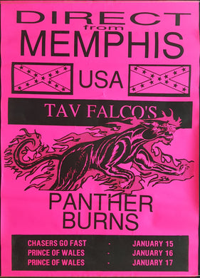 Tav Falco's Panther Burns - Direct From Memphis