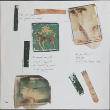 Load image into Gallery viewer, Icehouse - Primitive Man