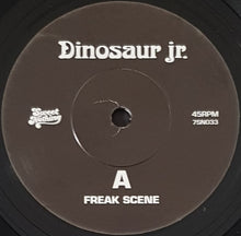 Load image into Gallery viewer, Dinosaur Jr - Freak Scene