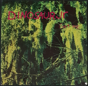 Dinosaur Jr - Get Me