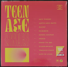Load image into Gallery viewer, King Gizzard And The Lizard Wizard - Teenage Gizzard - Picture Disc