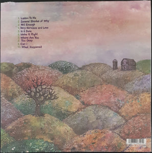 Dinosaur Jr (J Mascis)- Several Shades Of Why